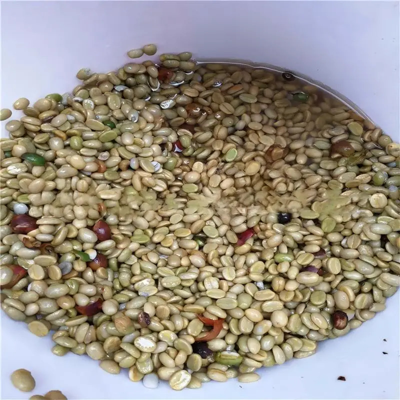 Birui High Productivity Stainl - đánh giá và giá Coffee Equipment